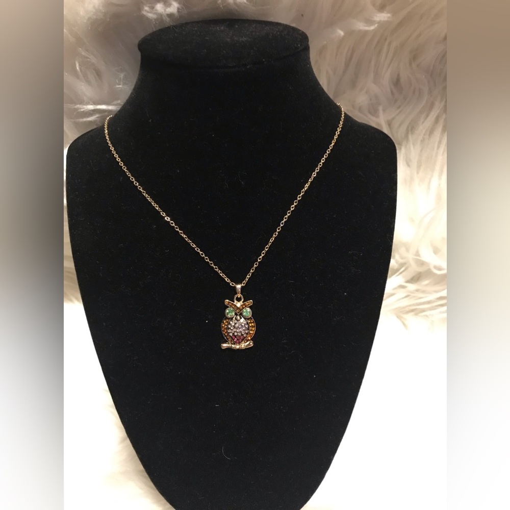 NIB Beautiful Owl 🦉 Necklace